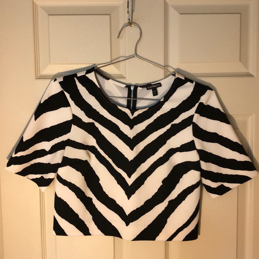 Dressy Crop Top